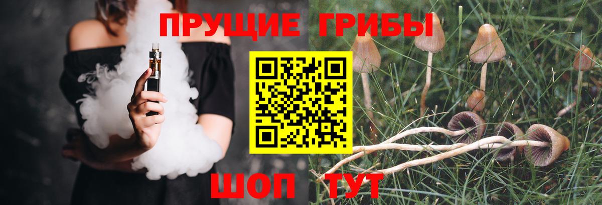 Галлюциногенные грибы MAGIC MUSHROOMS  Псилоцибиновые грибы Psilocybe  Озёры  Вход с VPN 